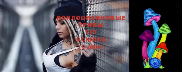 дживик Новозыбков