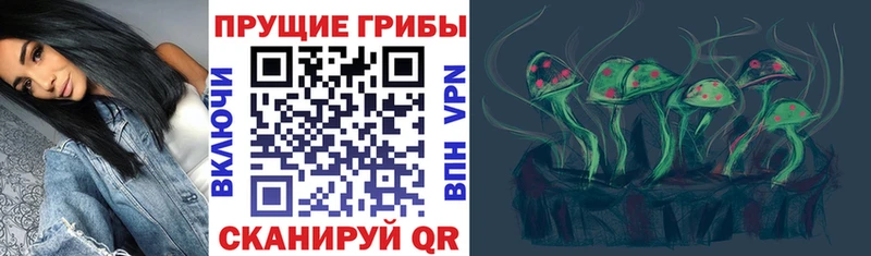 Галлюциногенные грибы Psilocybe продажа наркотиков Избербаш