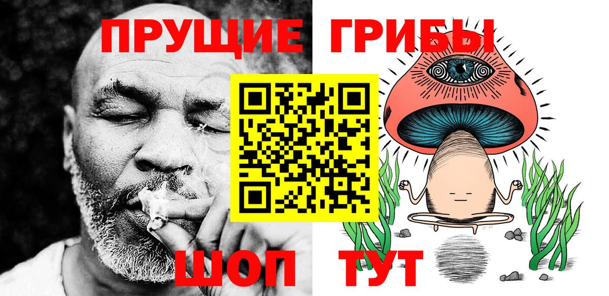 Бошки Шишки Избербаш