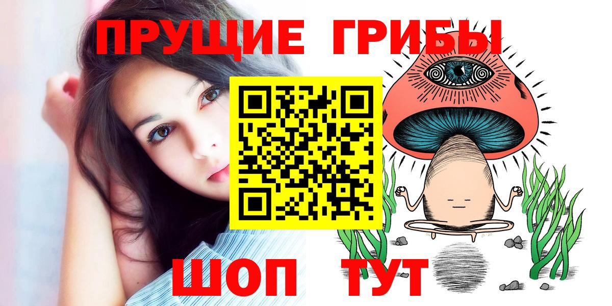 Псилоцибиновые грибы Cubensis Избербаш