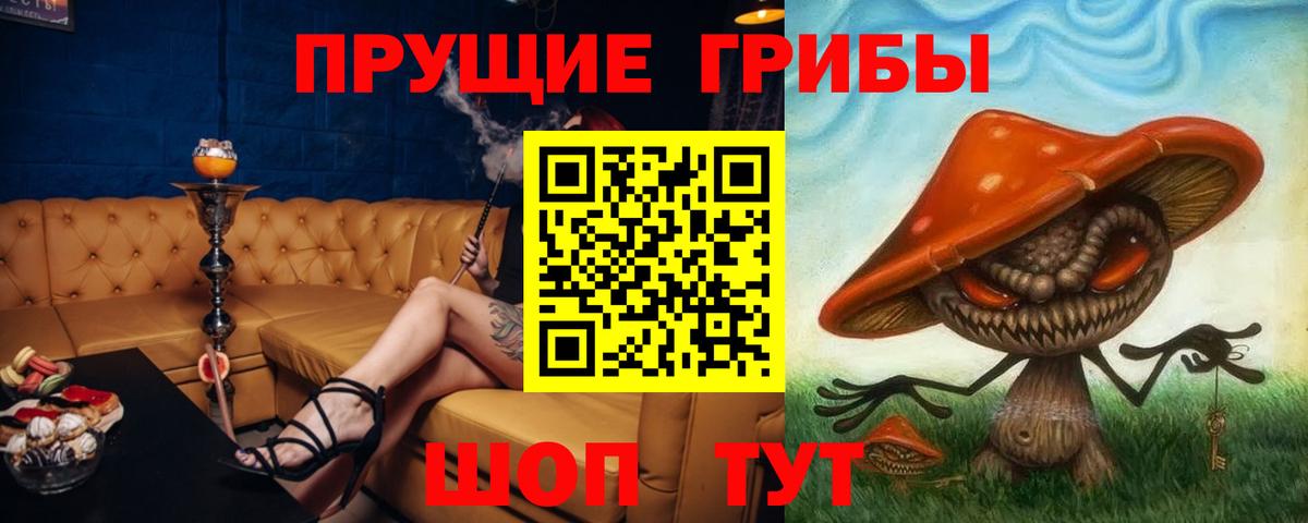 Галлюциногенные грибы ЛСД  Псилоцибиновые грибы GOLDEN TEACHER  купить наркоту  Избербаш 